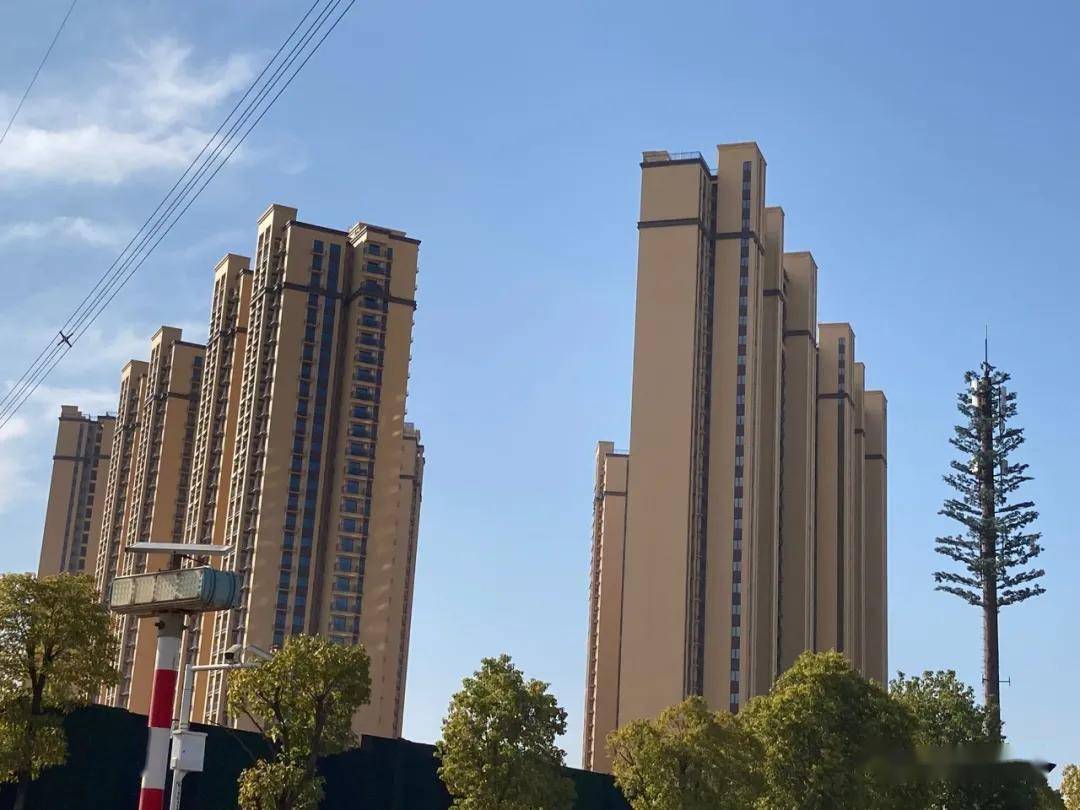 新房学区承诺怎么写进购房合同才有效:签约避坑与条款范本全解析