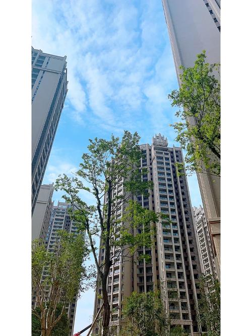 小区最里面的楼和靠路的楼怎么选？深度对比噪音、隐私、出行与升值空间，帮你做出不后悔的决定
